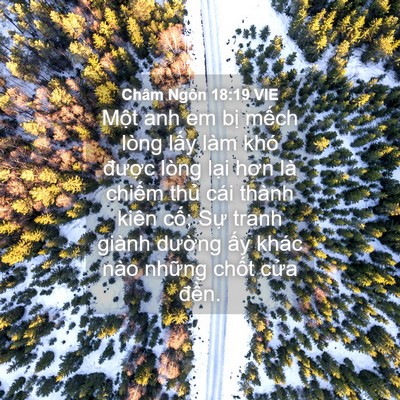 Picture 04 - Châm Ngôn 18:19 VIE - Một anh em bị mếch lòng lấy làm khó - Bible Verse Picture