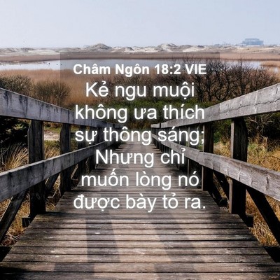 Picture 04 - Châm Ngôn 18:2 VIE - Kẻ ngu muội không ưa thích sự thông - Bible Verse Picture