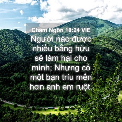 Picture 04 - Châm Ngôn 18:24 VIE - Người nào được nhiều bằng hữu sẽ - Bible Verse Picture