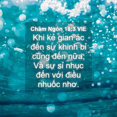 Picture 04 - Châm Ngôn 18:3 VIE - Khi kẻ gian ác đến sự khinh bỉ cũng - Bible Verse Picture
