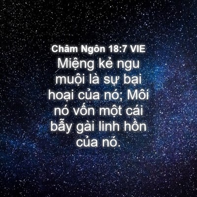 Picture 04 - Châm Ngôn 18:7 VIE - Miệng kẻ ngu muội là sự bại hoại - Bible Verse Picture