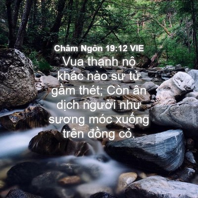 Picture 04 - Châm Ngôn 19:12 VIE - Vua thạnh nộ khác nào sư tử gầm thét; - Bible Verse Picture