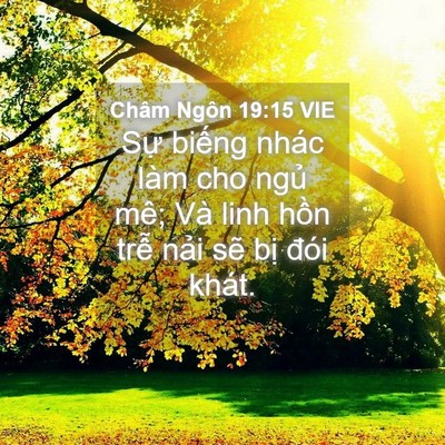 Picture 04 - Châm Ngôn 19:15 VIE - Sự biếng nhác làm cho ngủ mê; Và linh - Bible Verse Picture