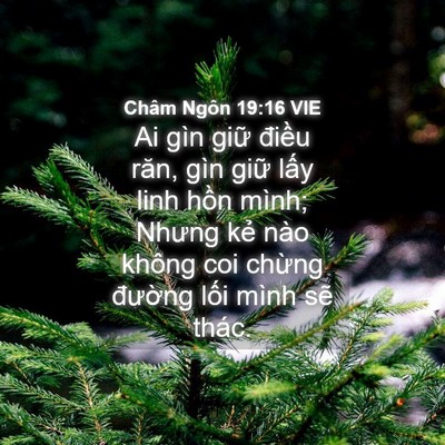 Picture 04 - Châm Ngôn 19:16 VIE - Ai gìn giữ điều răn, gìn giữ lấy linh - Bible Verse Picture