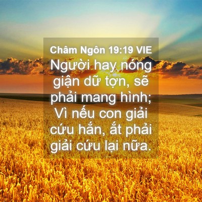 Picture 04 - Châm Ngôn 19:19 VIE - Người hay nóng giận dữ tợn, sẽ phải - Bible Verse Picture