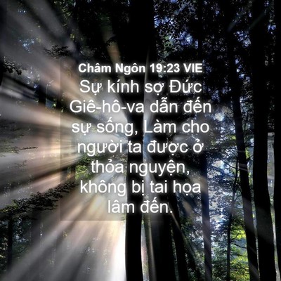 Picture 04 - Châm Ngôn 19:23 VIE - Sự kính sợ Đức Giê-hô-va dẫn đến - Bible Verse Picture