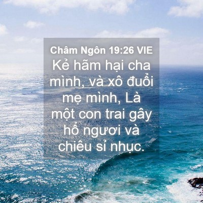 Picture 04 - Châm Ngôn 19:26 VIE - Kẻ hãm hại cha mình, và xô đuổi mẹ - Bible Verse Picture