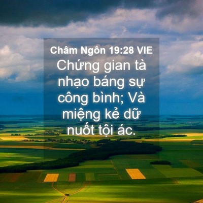 Picture 04 - Châm Ngôn 19:28 VIE - Chứng gian tà nhạo báng sự công bình; - Bible Verse Picture