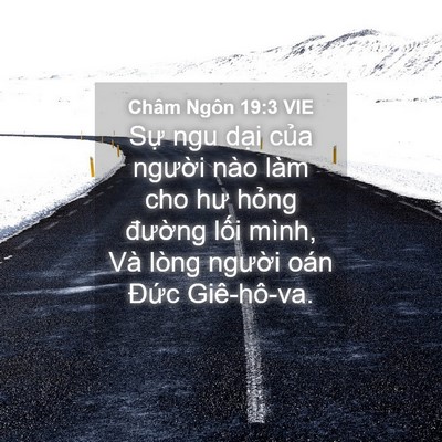 Picture 04 - Châm Ngôn 19:3 VIE - Sự ngu dại của người nào làm cho hư - Bible Verse Picture