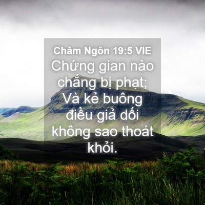 Picture 04 - Châm Ngôn 19:5 VIE - Chứng gian nào chẳng bị phạt; Và kẻ - Bible Verse Picture