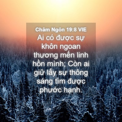 Picture 04 - Châm Ngôn 19:8 VIE - Ai có được sự khôn ngoan thương mến - Bible Verse Picture
