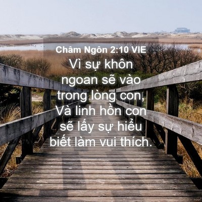 Picture 04 - Châm Ngôn 2:10 VIE - Vì sự khôn ngoan sẽ vào trong lòng con, - Bible Verse Picture