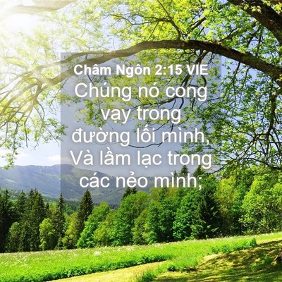 Picture 04 - Châm Ngôn 2:15 VIE - Chúng nó cong vạy trong đường lối - Bible Verse Picture