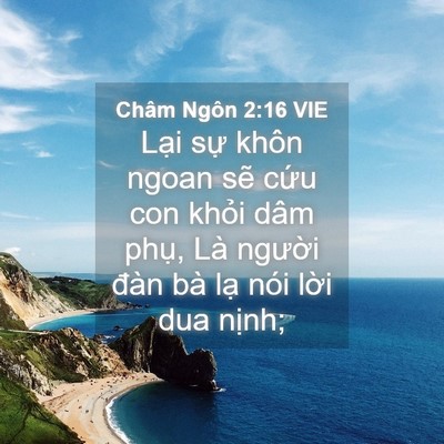 Picture 04 - Châm Ngôn 2:16 VIE - Lại sự khôn ngoan sẽ cứu con khỏi dâm - Bible Verse Picture