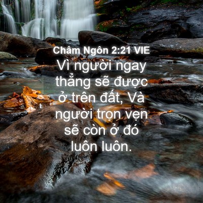 Picture 04 - Châm Ngôn 2:21 VIE - Vì người ngay thẳng sẽ được ở trên - Bible Verse Picture