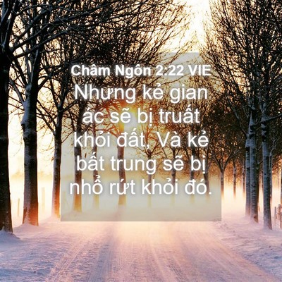 Picture 04 - Châm Ngôn 2:22 VIE - Nhưng kẻ gian ác sẽ bị truất khỏi - Bible Verse Picture