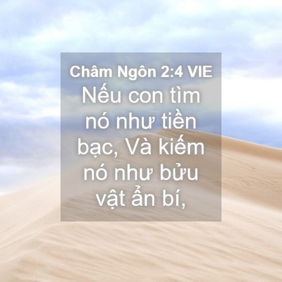 Picture 04 - Châm Ngôn 2:4 VIE - Nếu con tìm nó như tiền bạc, Và kiếm - Bible Verse Picture