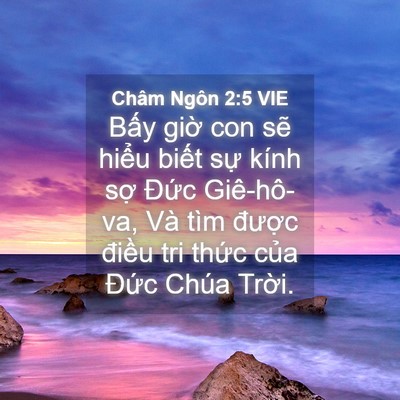 Picture 04 - Châm Ngôn 2:5 VIE - Bấy giờ con sẽ hiểu biết sự kính - Bible Verse Picture