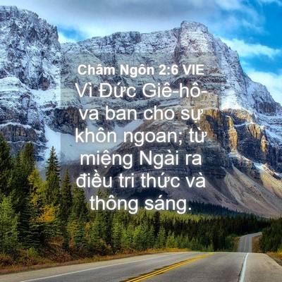 Picture 04 - Châm Ngôn 2:6 VIE - Vì Đức Giê-hô-va ban cho sự khôn ngoan; - Bible Verse Picture
