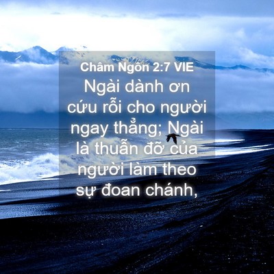 Picture 04 - Châm Ngôn 2:7 VIE - Ngài dành ơn cứu rỗi cho người ngay - Bible Verse Picture