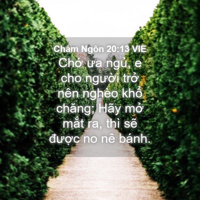 Picture 04 - Châm Ngôn 20:13 VIE - Chớ ưa ngủ, e cho người trở nên nghèo - Bible Verse Picture