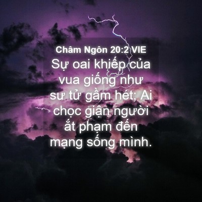 Picture 04 - Châm Ngôn 20:2 VIE - Sự oai khiếp của vua giống như sư tử - Bible Verse Picture