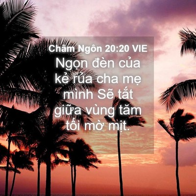 Picture 04 - Châm Ngôn 20:20 VIE - Ngọn đèn của kẻ rủa cha mẹ mình Sẽ - Bible Verse Picture