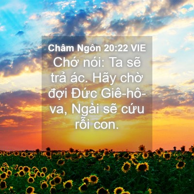 Picture 04 - Châm Ngôn 20:22 VIE - Chớ nói: Ta sẽ trả ác. Hãy chờ đợi - Bible Verse Picture