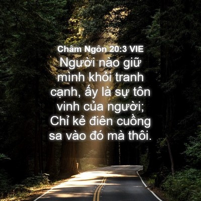 Picture 04 - Châm Ngôn 20:3 VIE - Người nào giữ mình khỏi tranh cạnh, - Bible Verse Picture