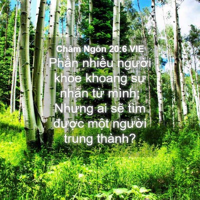 Picture 04 - Châm Ngôn 20:6 VIE - Phần nhiều người khoe khoang sự nhân - Bible Verse Picture