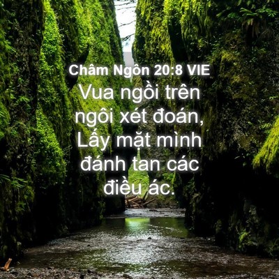 Picture 04 - Châm Ngôn 20:8 VIE - Vua ngồi trên ngôi xét đoán, Lấy mặt - Bible Verse Picture