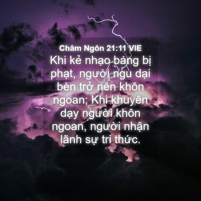Picture 04 - Châm Ngôn 21:11 VIE - Khi kẻ nhạo báng bị phạt, người ngu - Bible Verse Picture