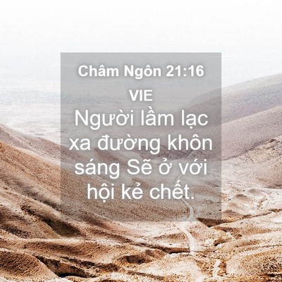 Picture 04 - Châm Ngôn 21:16 VIE - Người lầm lạc xa đường khôn sáng - Bible Verse Picture