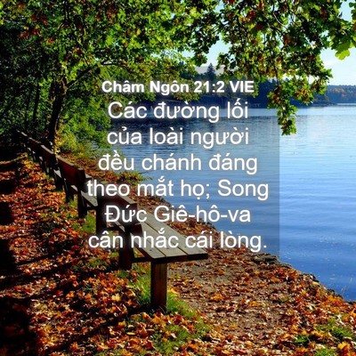 Picture 04 - Châm Ngôn 21:2 VIE - Các đường lối của loài người đều - Bible Verse Picture
