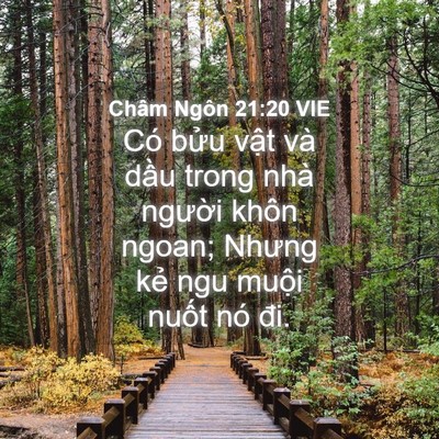 Picture 04 - Châm Ngôn 21:20 VIE - Có bửu vật và dầu trong nhà người - Bible Verse Picture