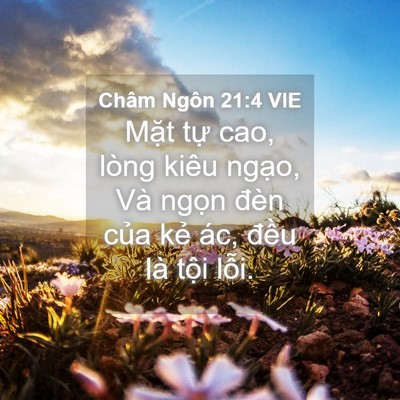 Picture 04 - Châm Ngôn 21:4 VIE - Mặt tự cao, lòng kiêu ngạo, Và ngọn - Bible Verse Picture