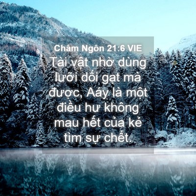 Picture 04 - Châm Ngôn 21:6 VIE - Tài vật nhờ dùng lưỡi dối gạt mà - Bible Verse Picture