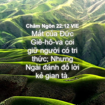 Picture 04 - Châm Ngôn 22:12 VIE - Mắt của Đức Giê-hô-va coi giữ người - Bible Verse Picture