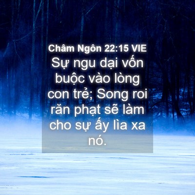 Picture 04 - Châm Ngôn 22:15 VIE - Sự ngu dại vốn buộc vào lòng con trẻ; - Bible Verse Picture