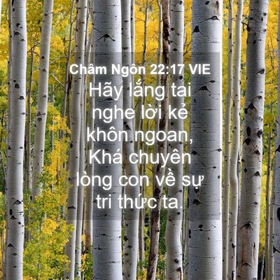 Picture 04 - Châm Ngôn 22:17 VIE - Hãy lắng tai nghe lời kẻ khôn ngoan, Khá - Bible Verse Picture