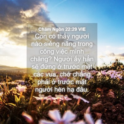Picture 04 - Châm Ngôn 22:29 VIE - Con có thấy người nào siêng năng trong - Bible Verse Picture