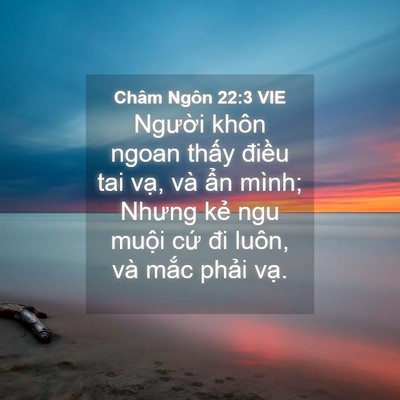 Picture 04 - Châm Ngôn 22:3 VIE - Người khôn ngoan thấy điều tai vạ, và - Bible Verse Picture