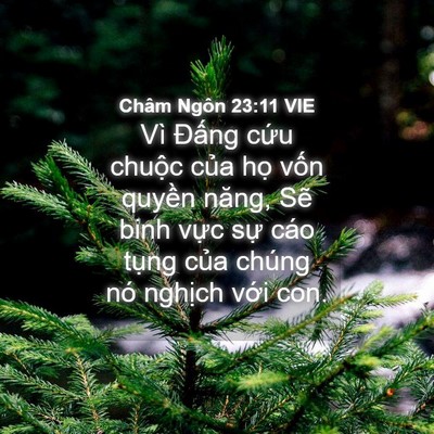Picture 04 - Châm Ngôn 23:11 VIE - Vì Đấng cứu chuộc của họ vốn - Bible Verse Picture