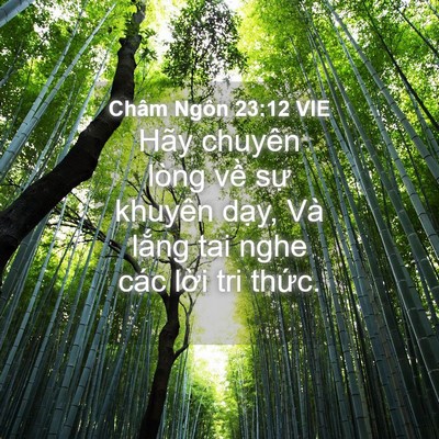 Picture 04 - Châm Ngôn 23:12 VIE - Hãy chuyên lòng về sự khuyên dạy, Và - Bible Verse Picture