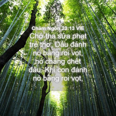 Picture 04 - Châm Ngôn 23:13 VIE - Chớ tha sửa phạt trẻ thơ; Dầu đánh - Bible Verse Picture
