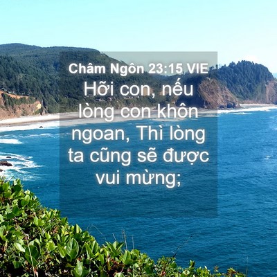 Picture 04 - Châm Ngôn 23:15 VIE - Hỡi con, nếu lòng con khôn ngoan, Thì - Bible Verse Picture