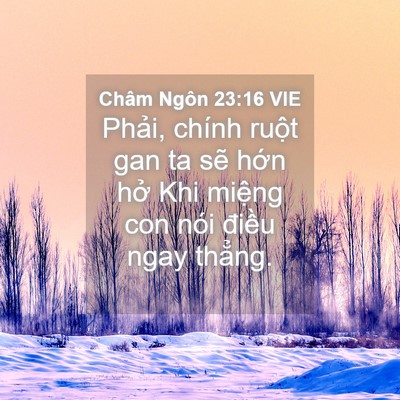 Picture 04 - Châm Ngôn 23:16 VIE - Phải, chính ruột gan ta sẽ hớn hở Khi - Bible Verse Picture