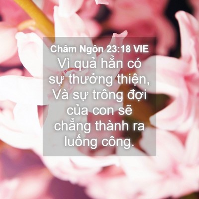 Picture 04 - Châm Ngôn 23:18 VIE - Vì quả hẳn có sự thưởng thiện, Và - Bible Verse Picture