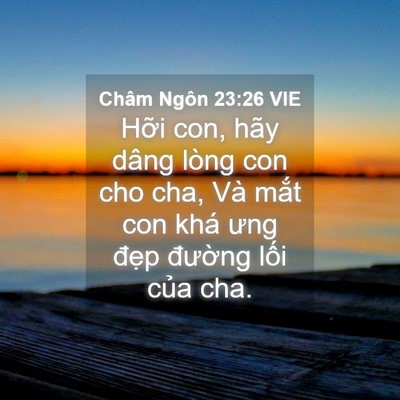 Picture 04 - Châm Ngôn 23:26 VIE - Hỡi con, hãy dâng lòng con cho cha, Và - Bible Verse Picture