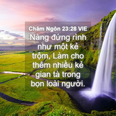 Picture 04 - Châm Ngôn 23:28 VIE - Nàng đứng rình như một kẻ trộm, Làm - Bible Verse Picture
